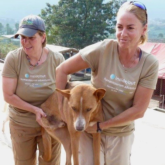 Volunteers Helping Injured Dog