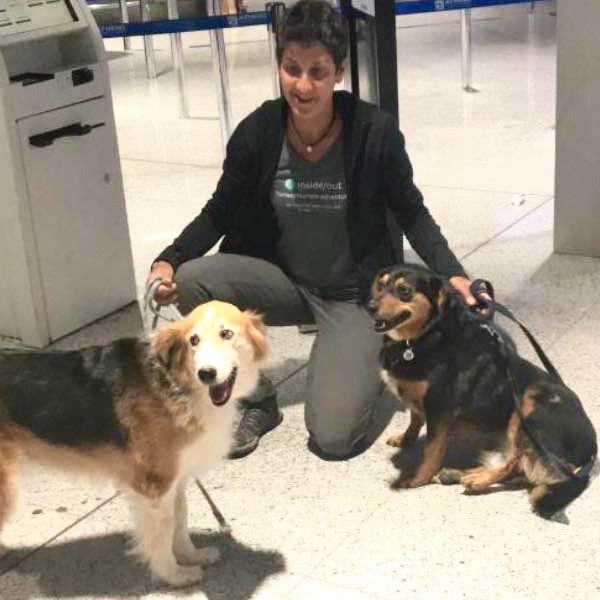 Zoe With Greek Dogs At Airport