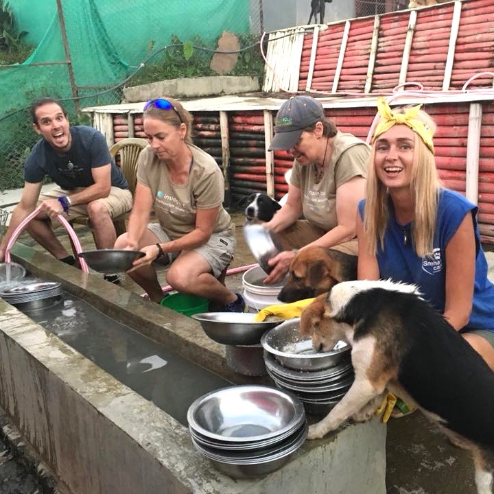 Volunteers Feeding Dogs