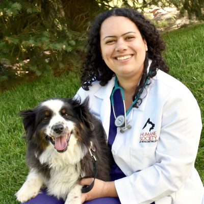Veterinarian with Border Collie